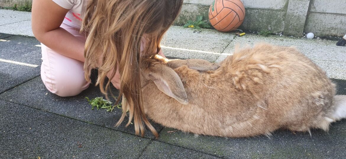 Lilly speelt met haar konijn om rustig te worden