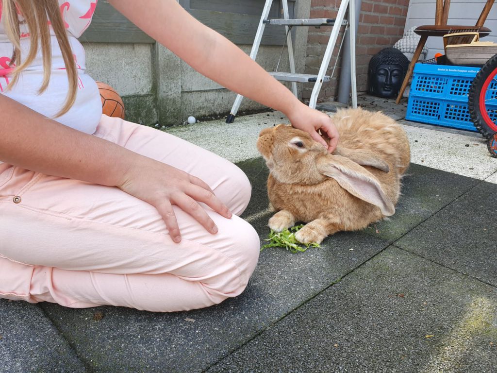 lilly speelt met haar konijn om rustig te worden 