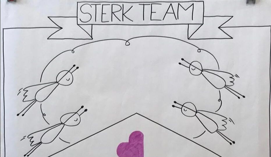 Sterk Team